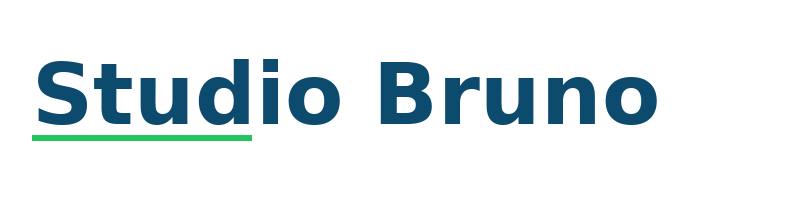 Studio Bruno logo